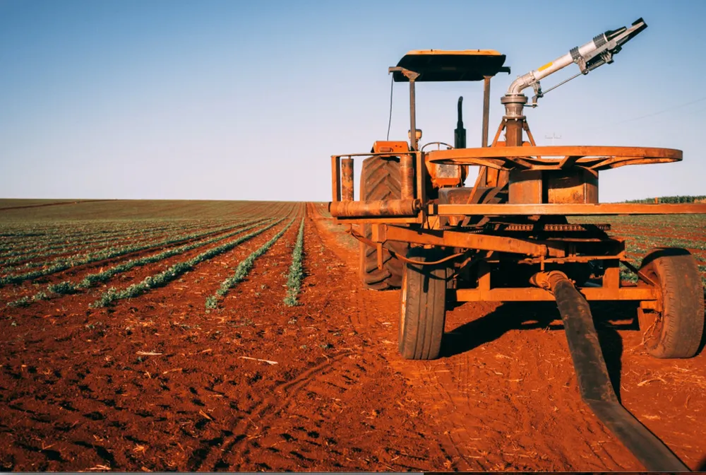 Young seedlings planted in rows of red Australian soil, with an irrigation rig in the foreground